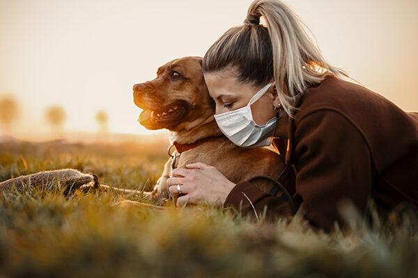 save the pets