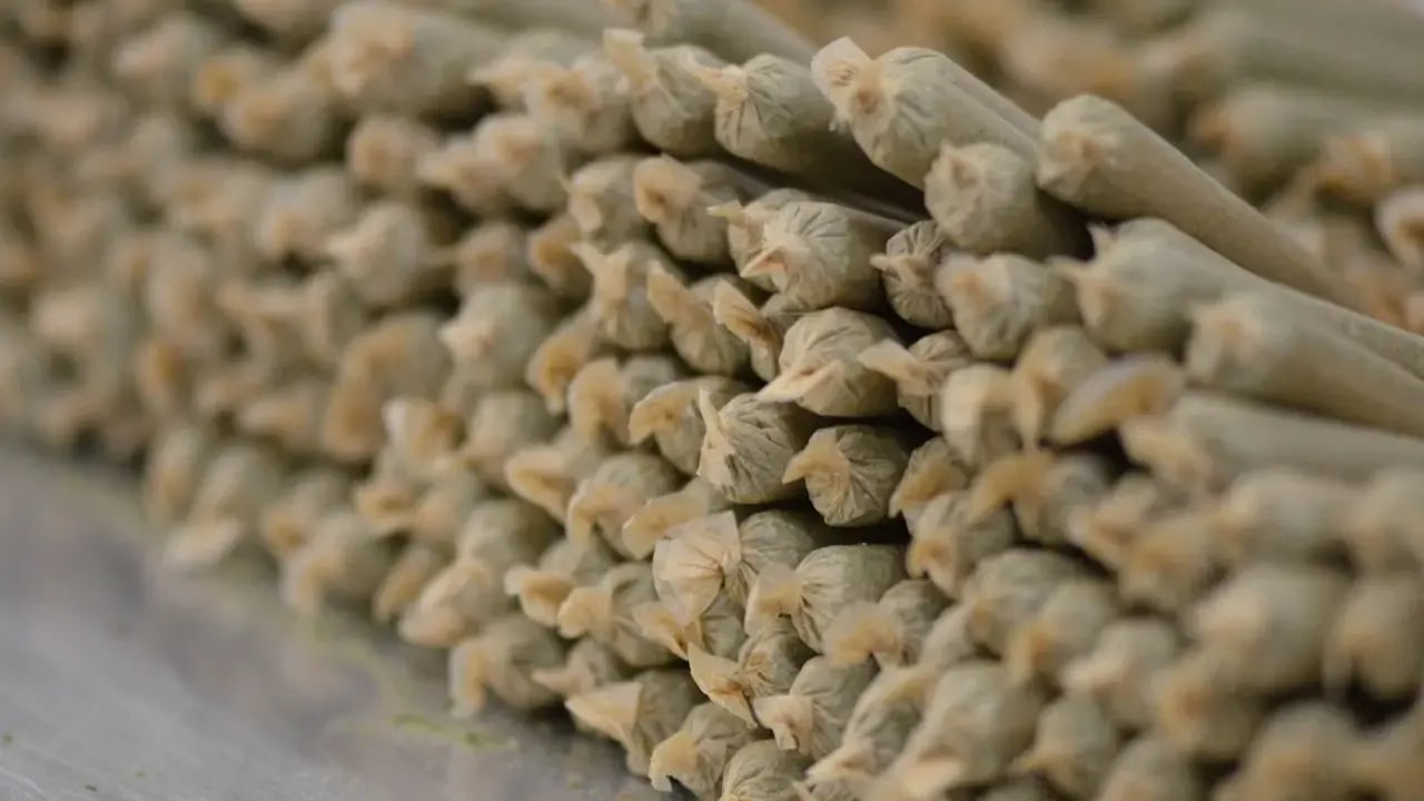 Millennials Cannabis Pre-Rolls Report-May-08-2026-02-15-46-2677-PM